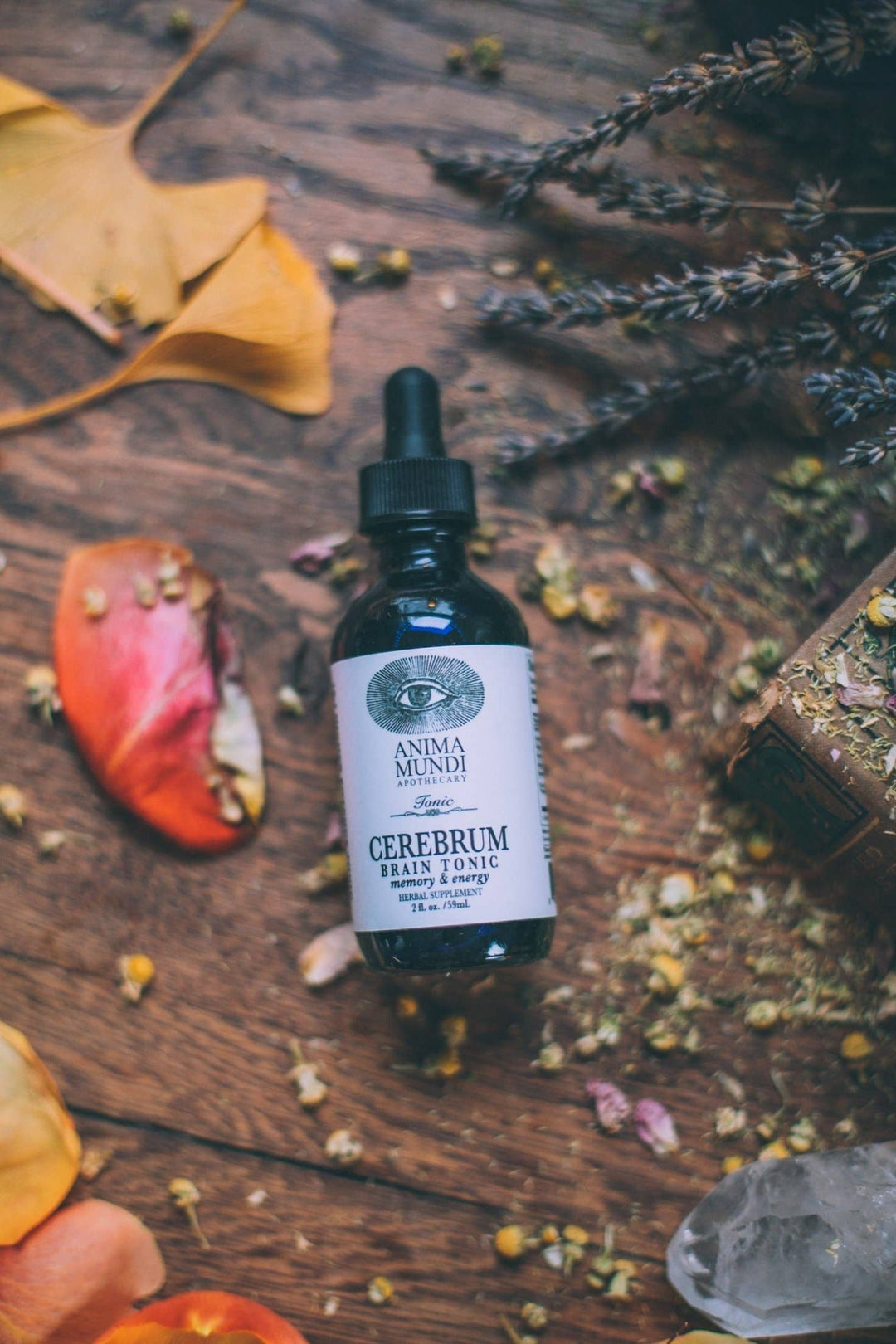 Cerebrum Brain Tonic | Memory & Energy - Echo Market