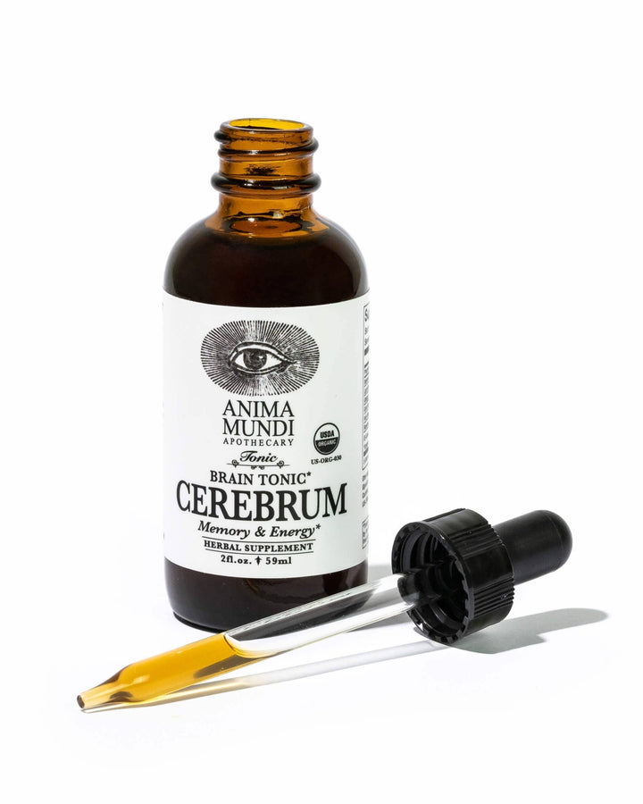 Cerebrum Brain Tonic | Memory & Energy - Echo Market