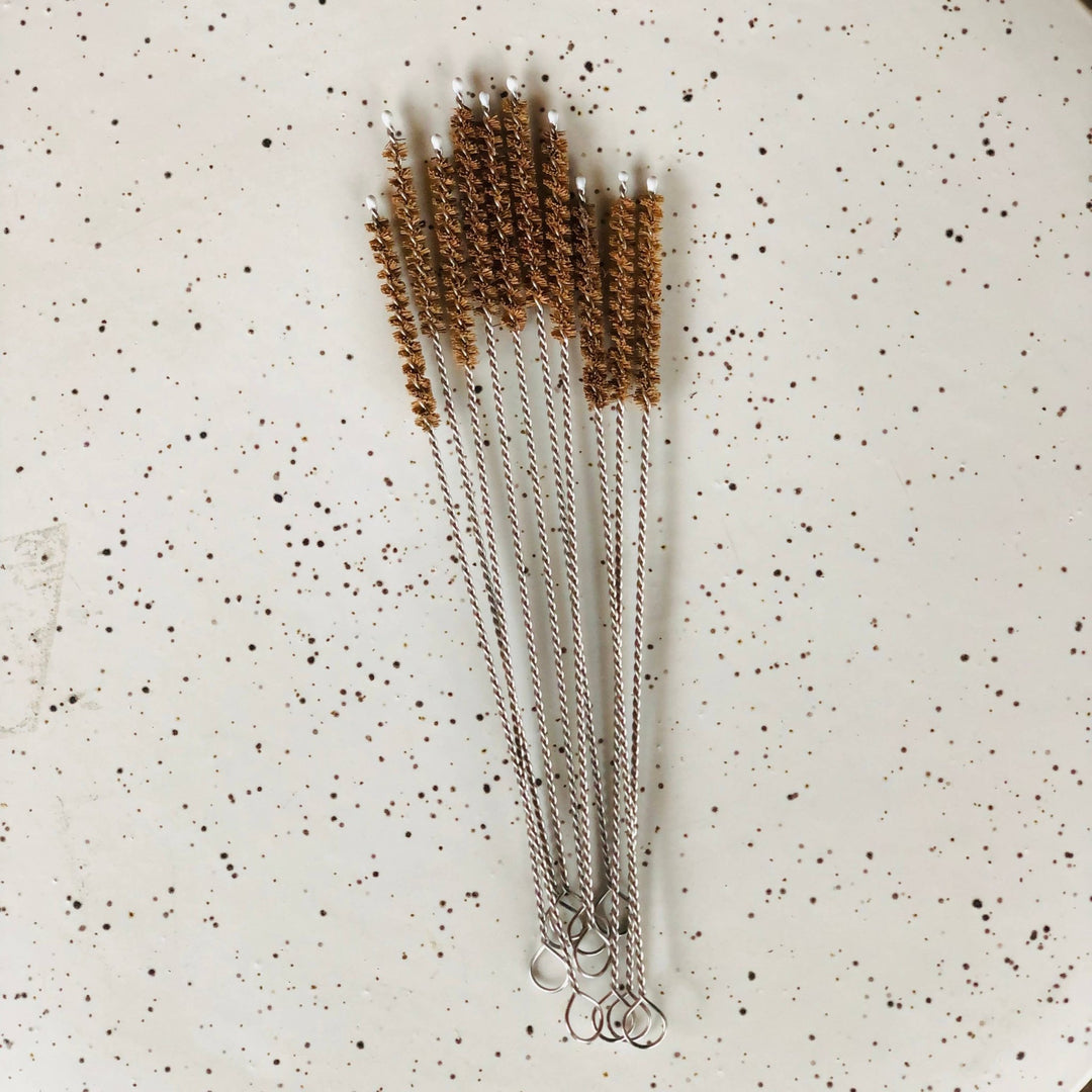 Coconut Fiber Plastic Free Straw Cleaner - Echo Market