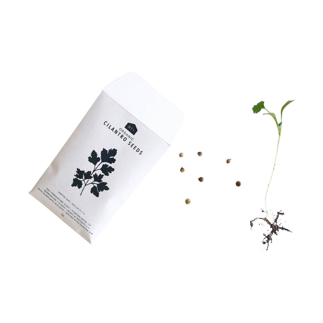 Culinary Herb Seeds V1 I Pack of 5 - Echo Market