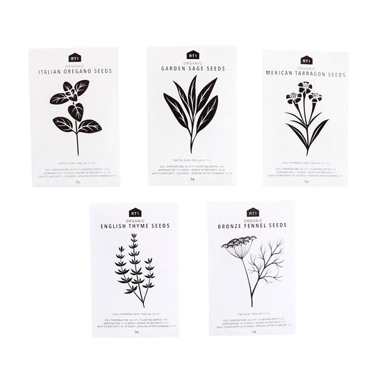 Culinary Herb Seeds V2 I Pack of 5 - Echo Market