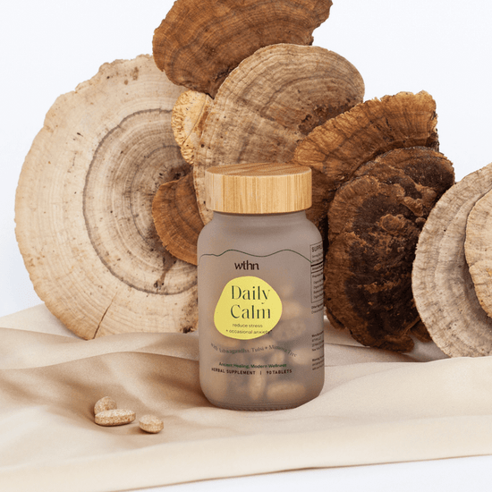 Daily Calm - Herbal Supplement - Echo Market