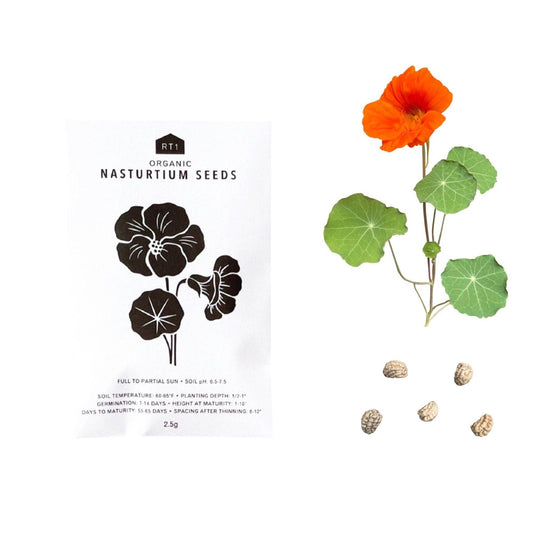 Edible Flower Seeds | Pack of 5 - Echo Market