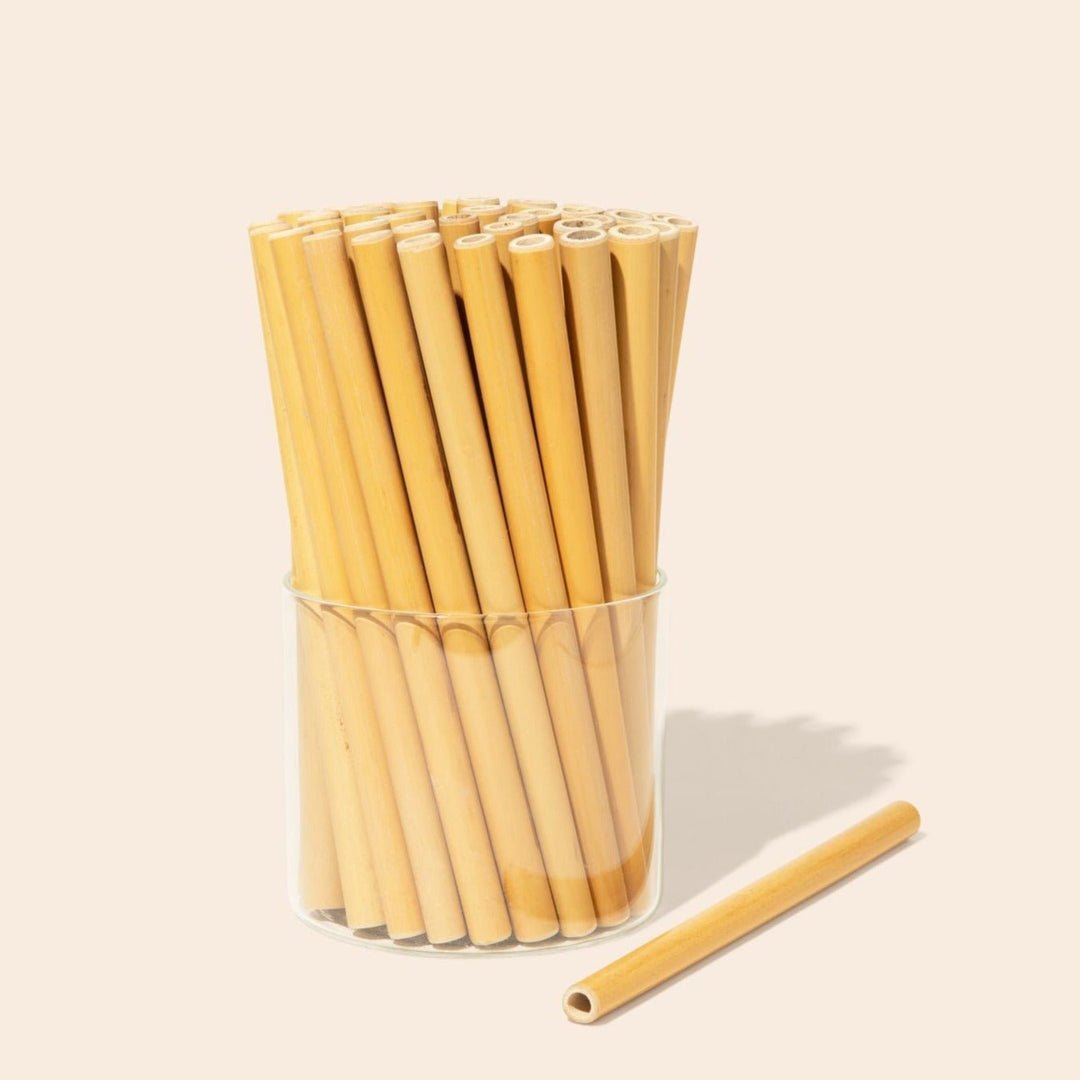 Individual Bamboo Straws - Echo Market