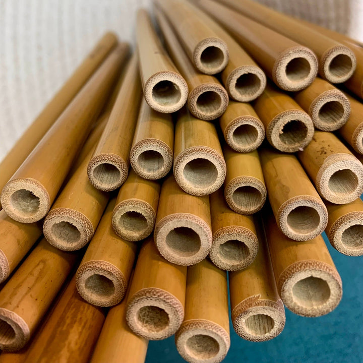 Individual Bamboo Straws - Echo Market