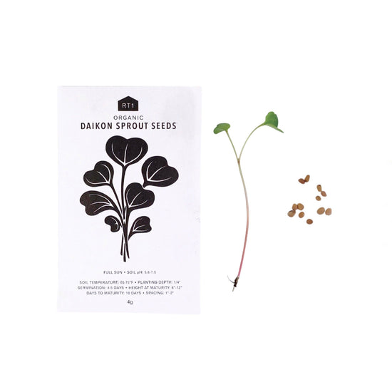 Japanese Herb Seeds | Pack of 5 - Echo Market