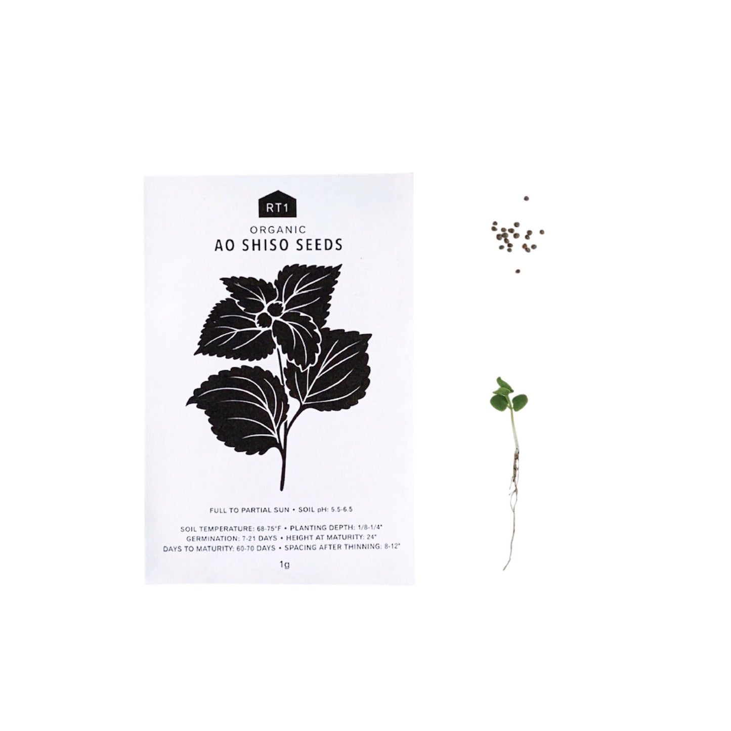 Japanese Herb Seeds | Pack of 5 - Echo Market