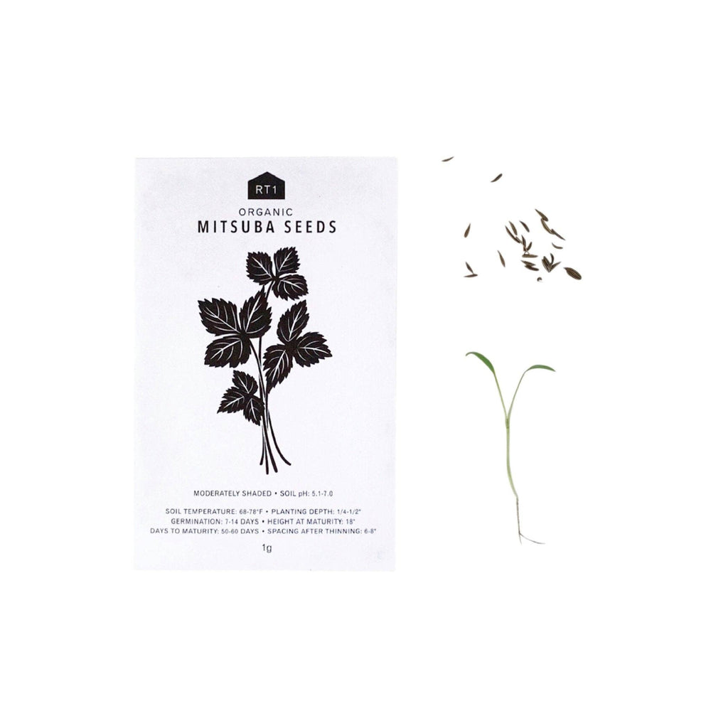 Japanese Herb Seeds | Pack of 5 - Echo Market