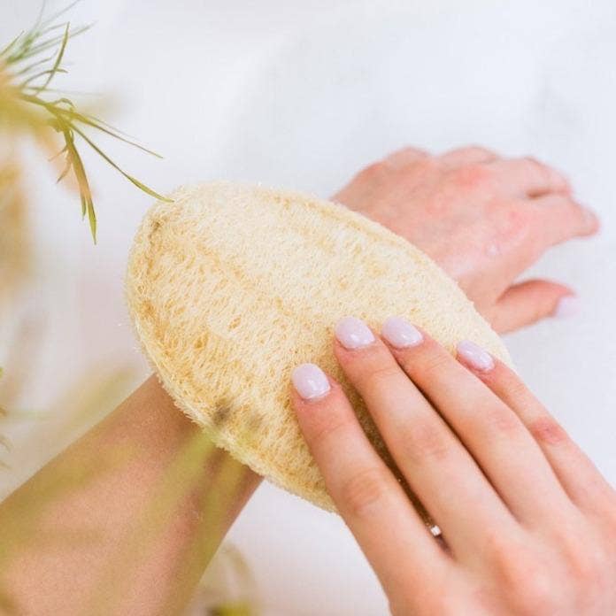 Large Exfoliating Loofah | 3 Pack - Echo Market