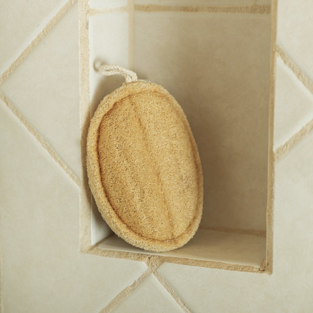 Large Exfoliating Loofah | 3 Pack - Echo Market