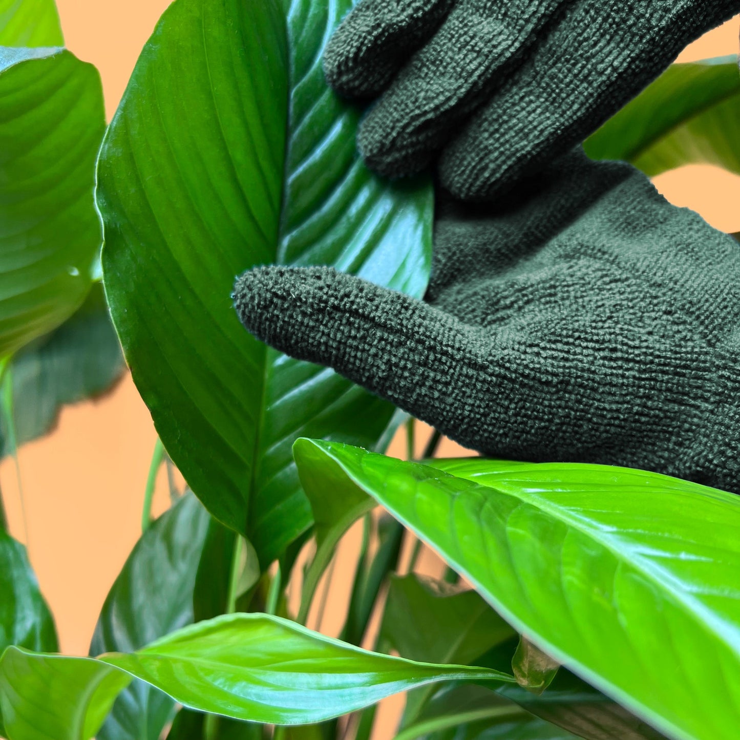 Leaf Cleaning Gloves - Echo Market