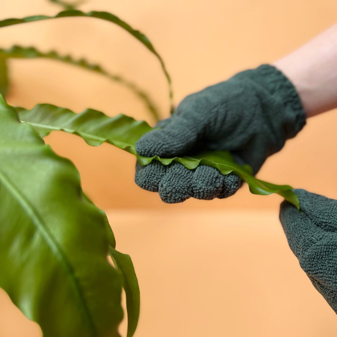 Leaf Cleaning Gloves - Echo Market