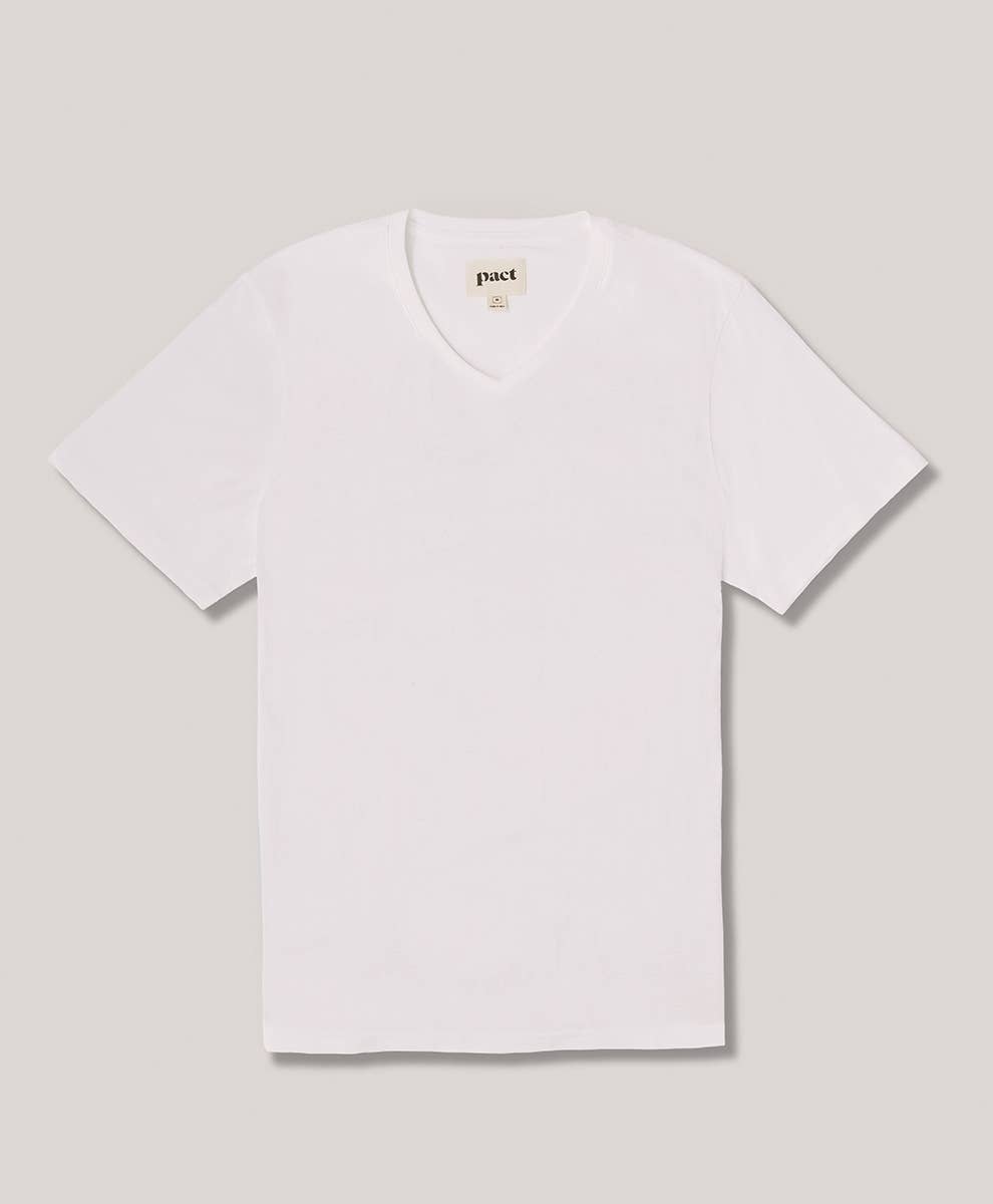 Men’s Softspun V-neck Tee - Echo Market