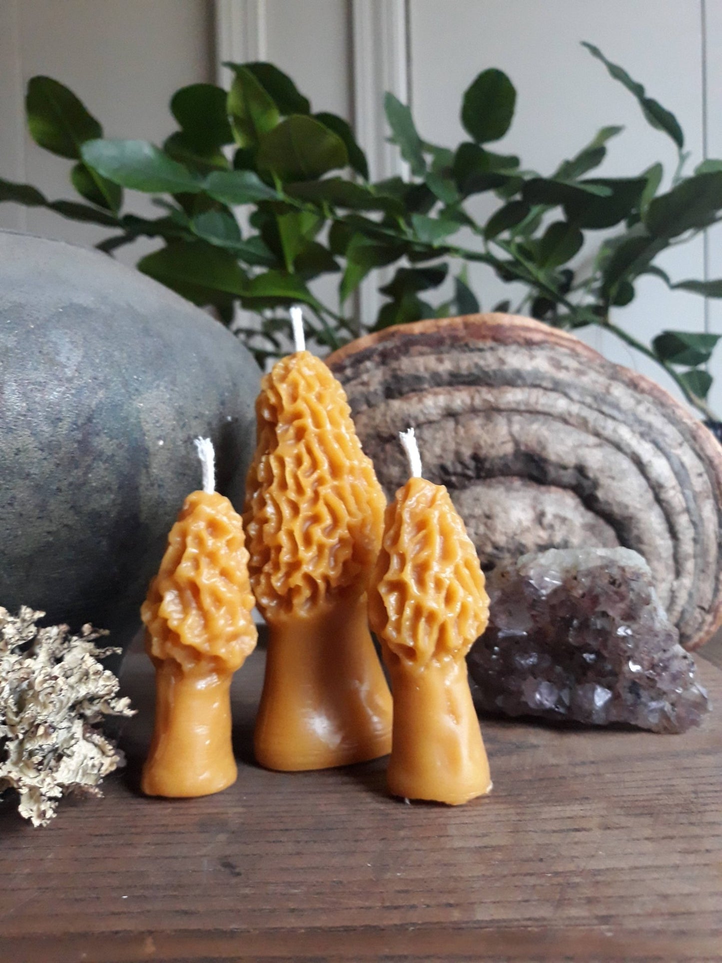 Load image into Gallery viewer, Morel Mushroom Beeswax Candles: Large - Echo Market
