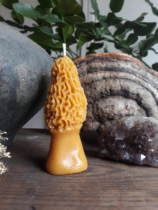 Load image into Gallery viewer, Morel Mushroom Beeswax Candles: Large - Echo Market
