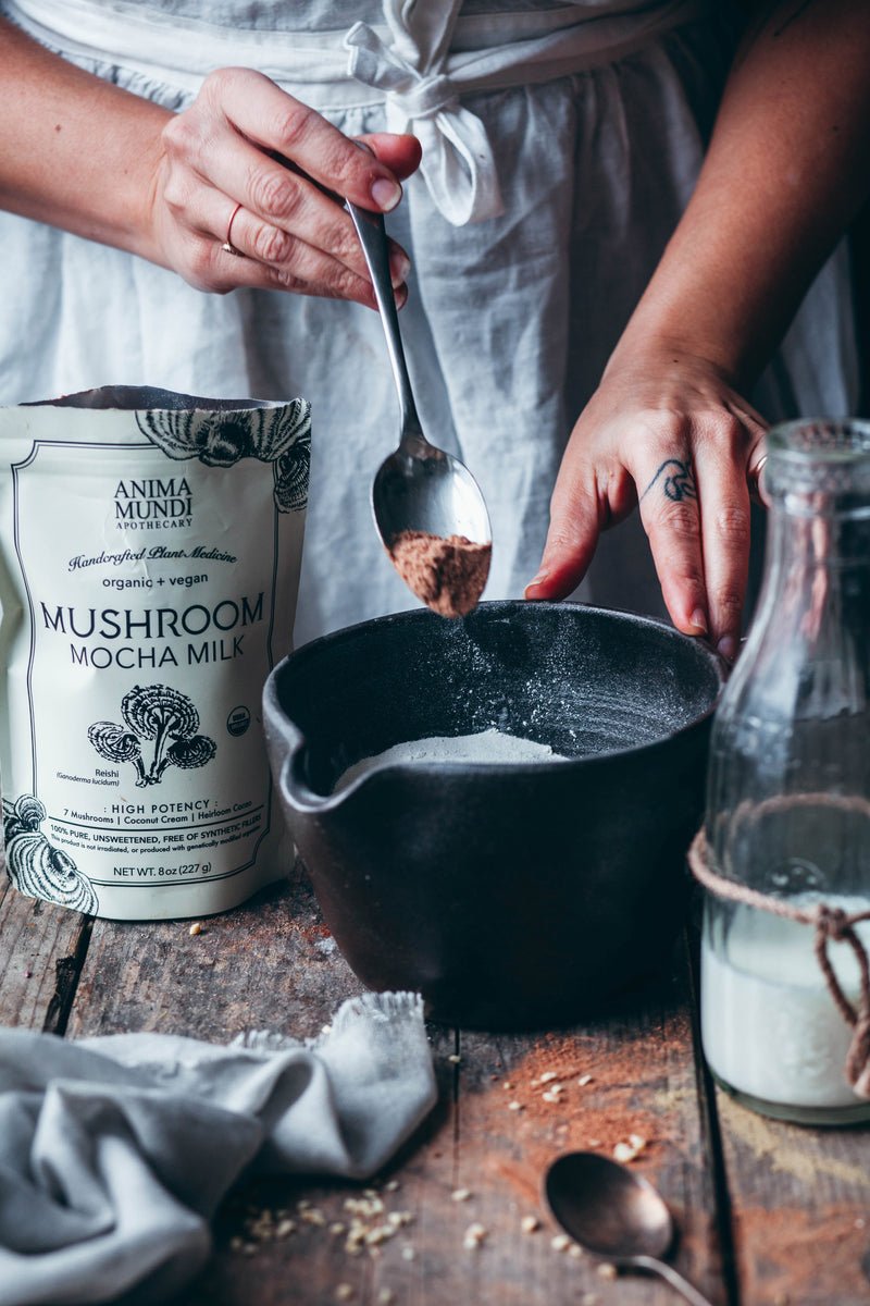 Mushroom Mocha Milk | Longevity Milk - Echo Market