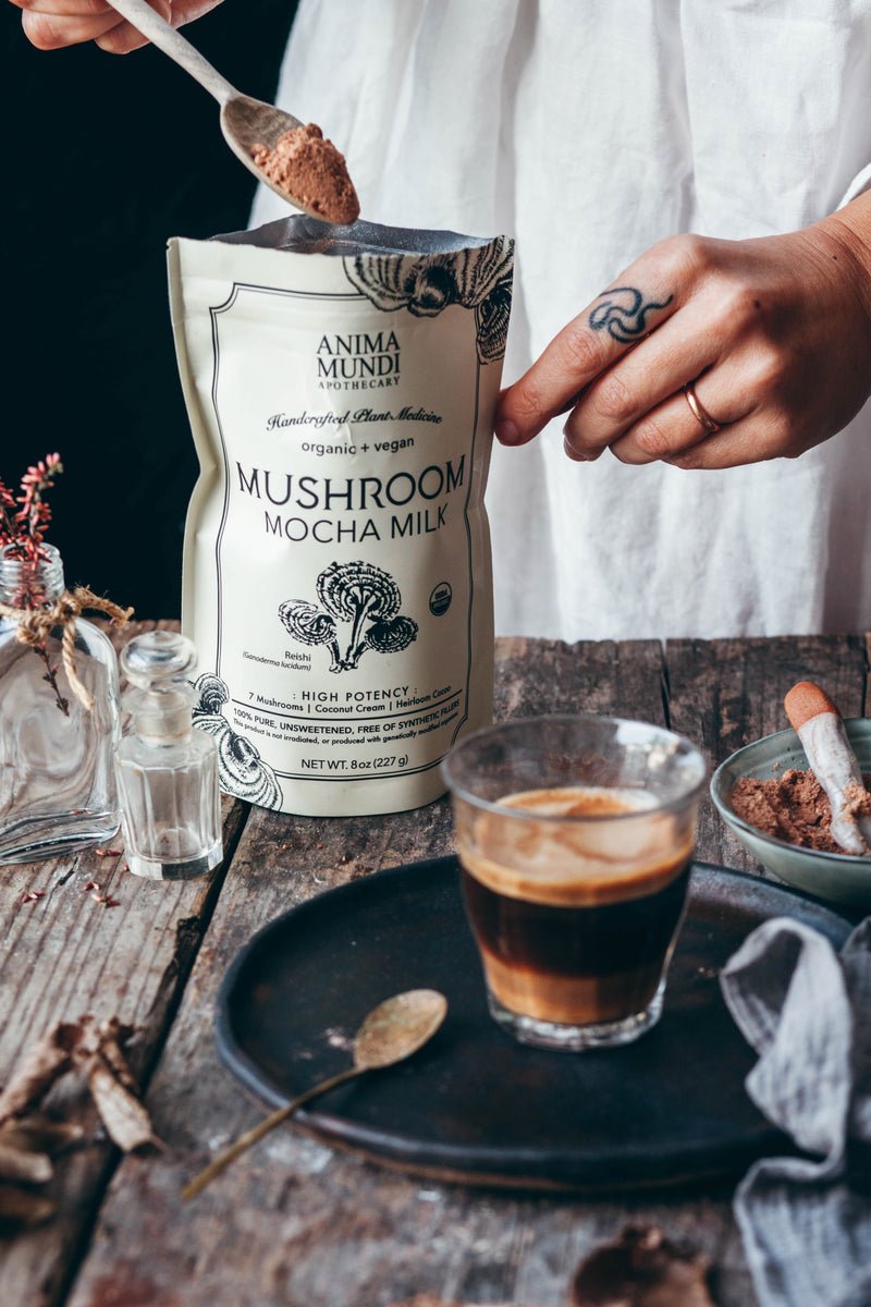 Mushroom Mocha Milk | Longevity Milk - Echo Market