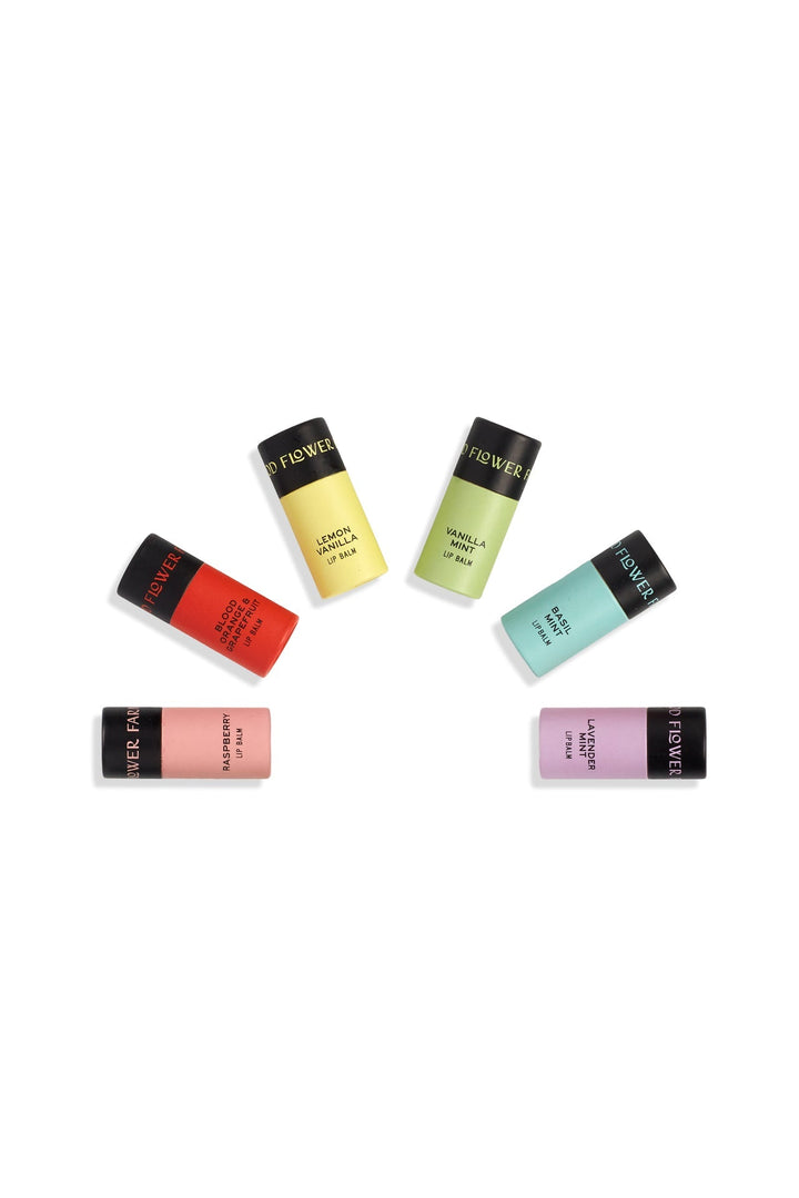 Nourishing Organic Lip Balms - Echo Market