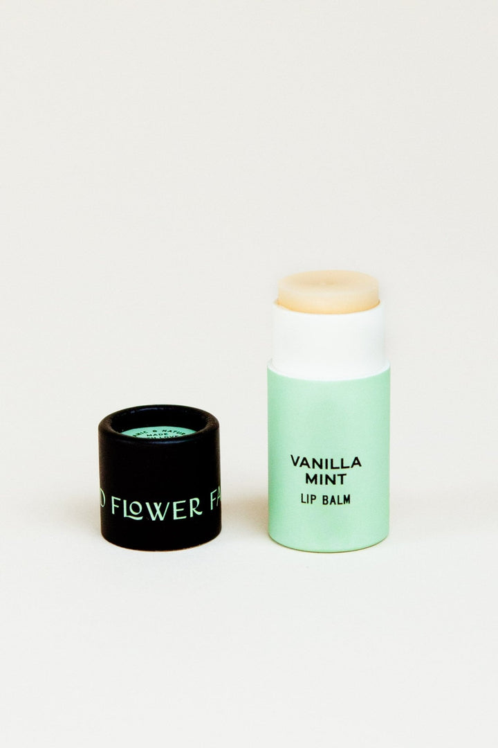 Nourishing Organic Lip Balms - Echo Market