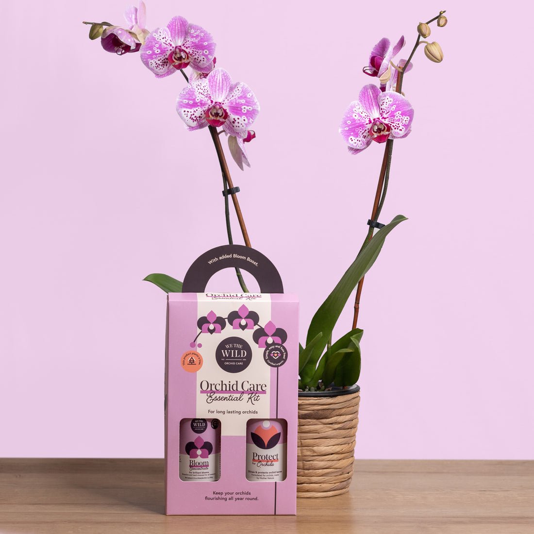 Load image into Gallery viewer, Orchid Essential Kit - Echo Market
