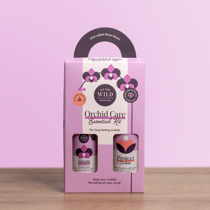 Orchid Essential Kit - Echo Market