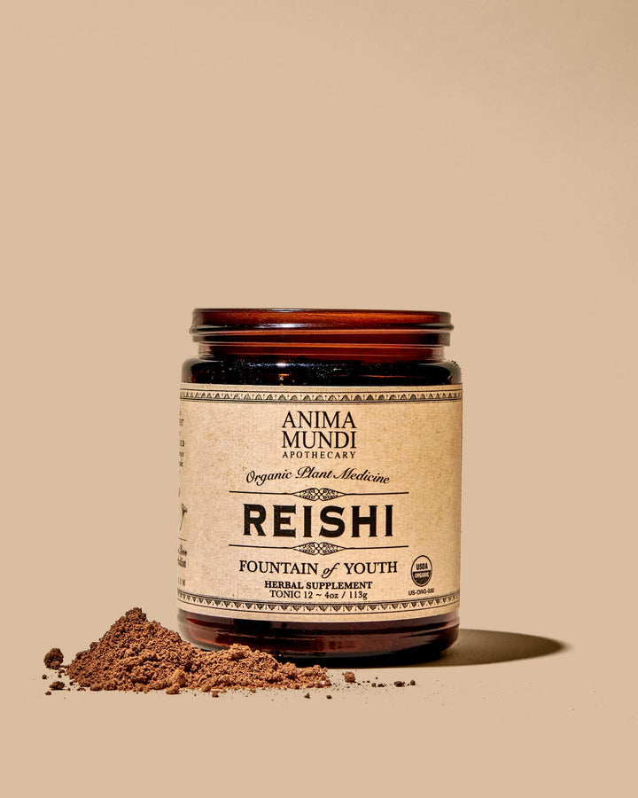 Reishi | Fountain of Youth Tonic - Echo Market