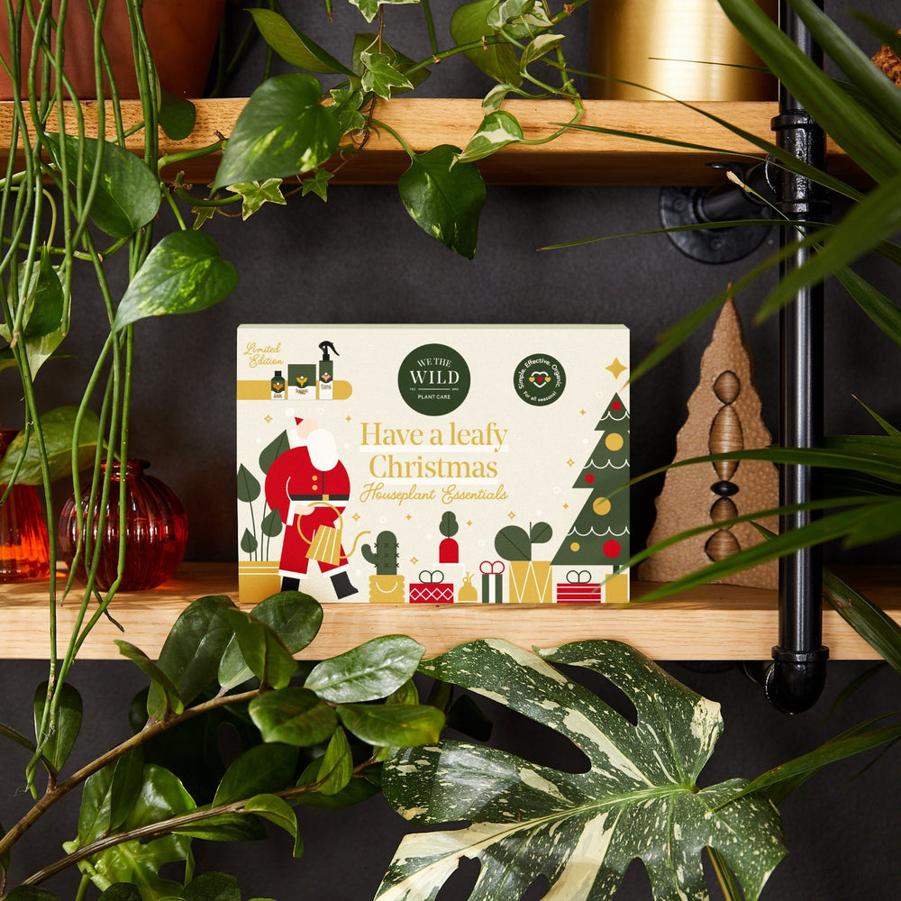 Santa Essential Plant Care Kit - Echo Market