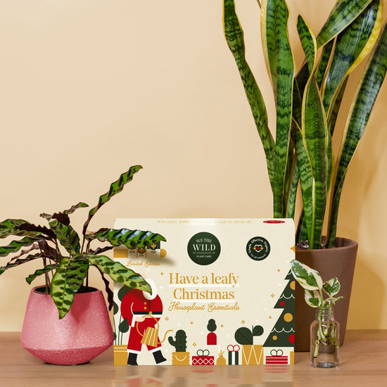 Santa Essential Plant Care Kit - Echo Market