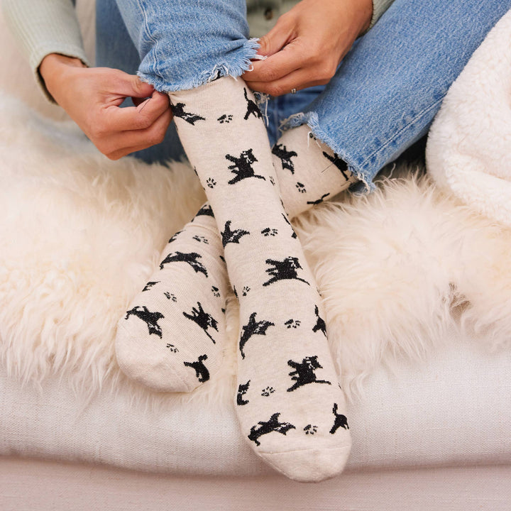 Socks that Save Cats | Beige Cats - Echo Market