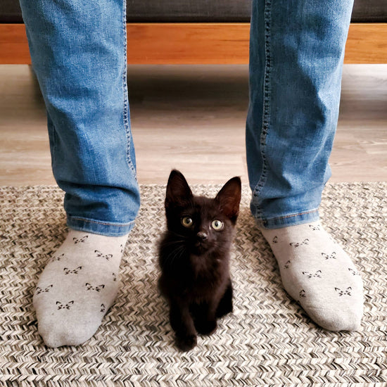 Load image into Gallery viewer, Socks that Save Cats (Gray Cats): Small - Echo Market

