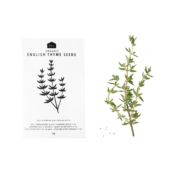 Tea Herb Seeds | Pack of 5 - Echo Market