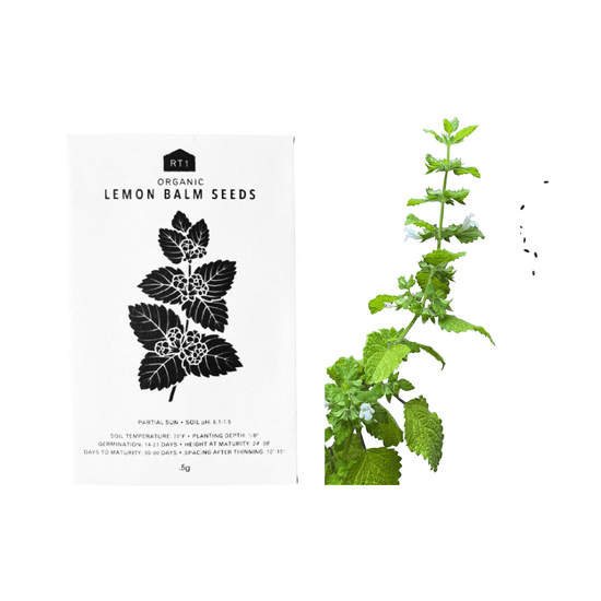 Tea Herb Seeds | Pack of 5 - Echo Market