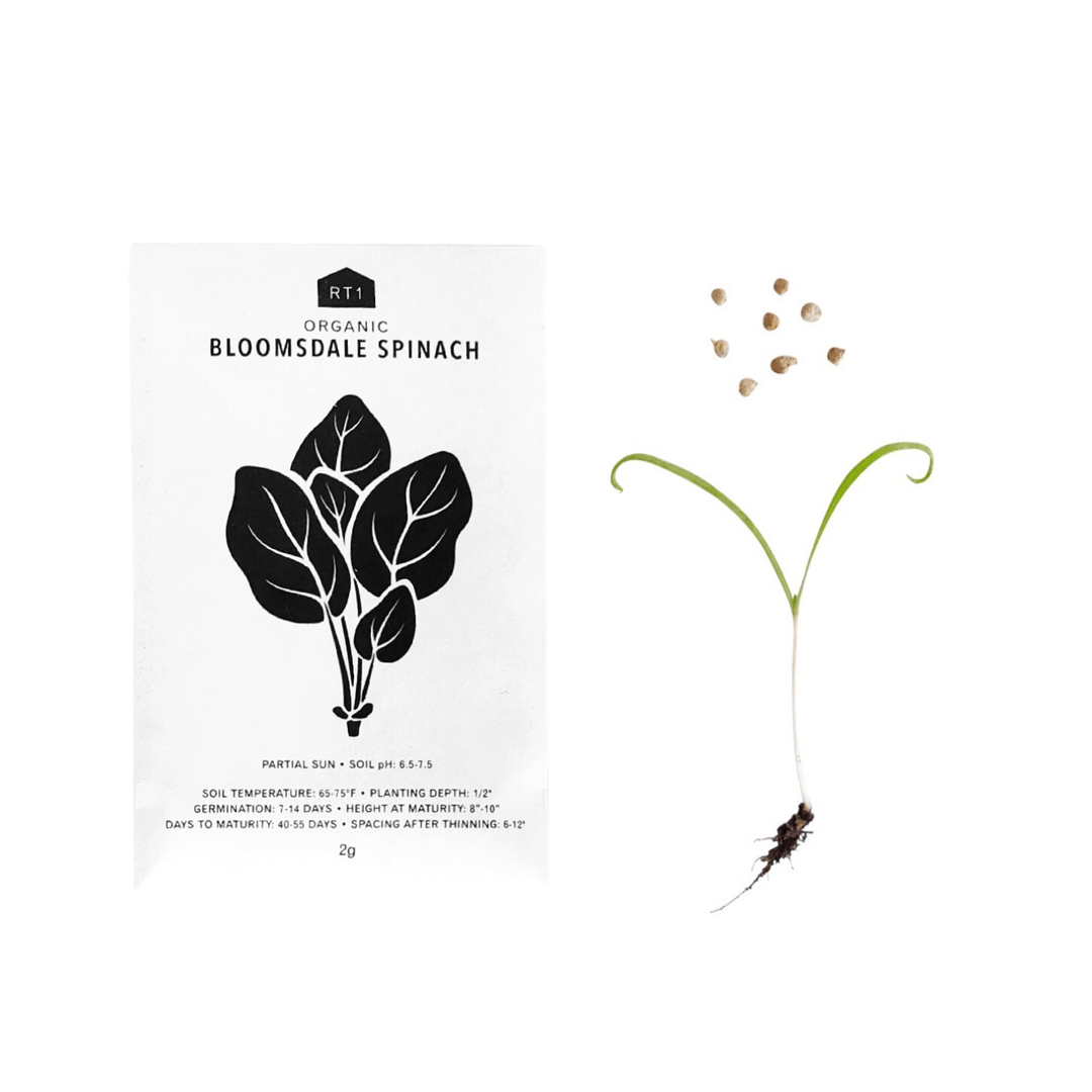 Vegetable Seeds | Pack of 5 - Echo Market