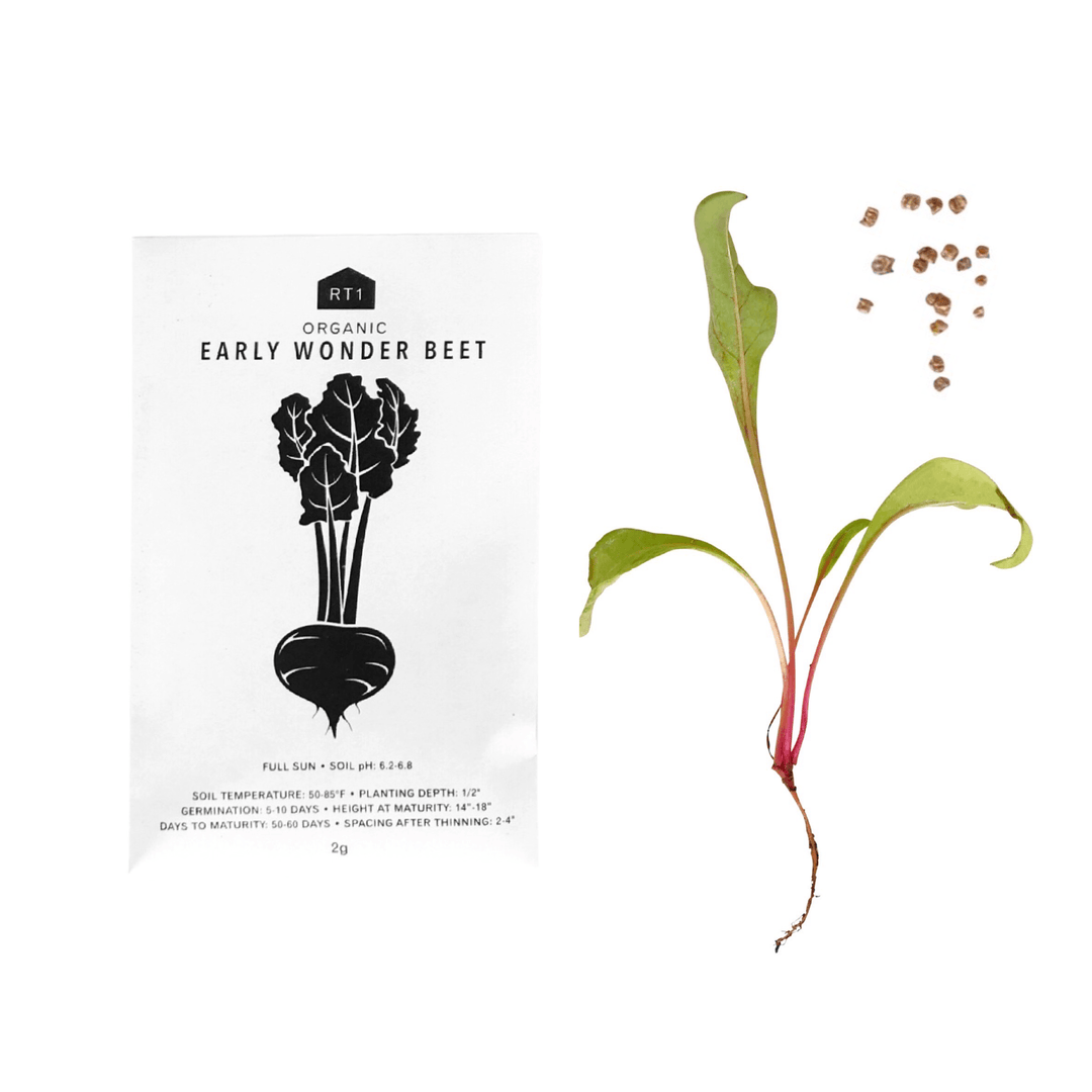 Vegetable Seeds | Pack of 5 - Echo Market