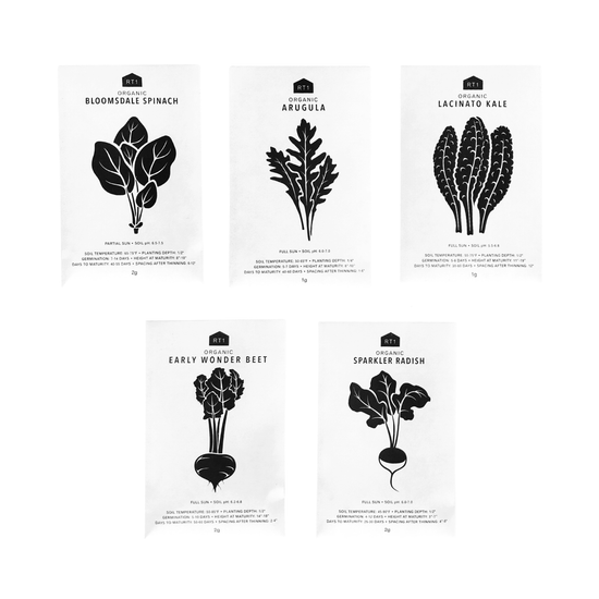 Vegetable Seeds | Pack of 5 - Echo Market