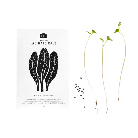 Vegetable Seeds | Pack of 5 - Echo Market