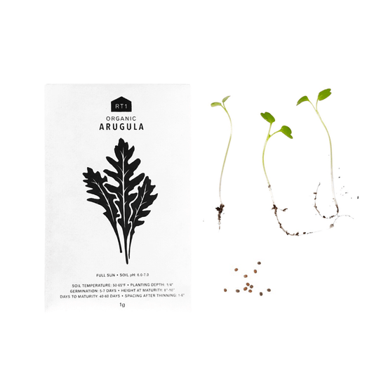 Vegetable Seeds | Pack of 5 - Echo Market