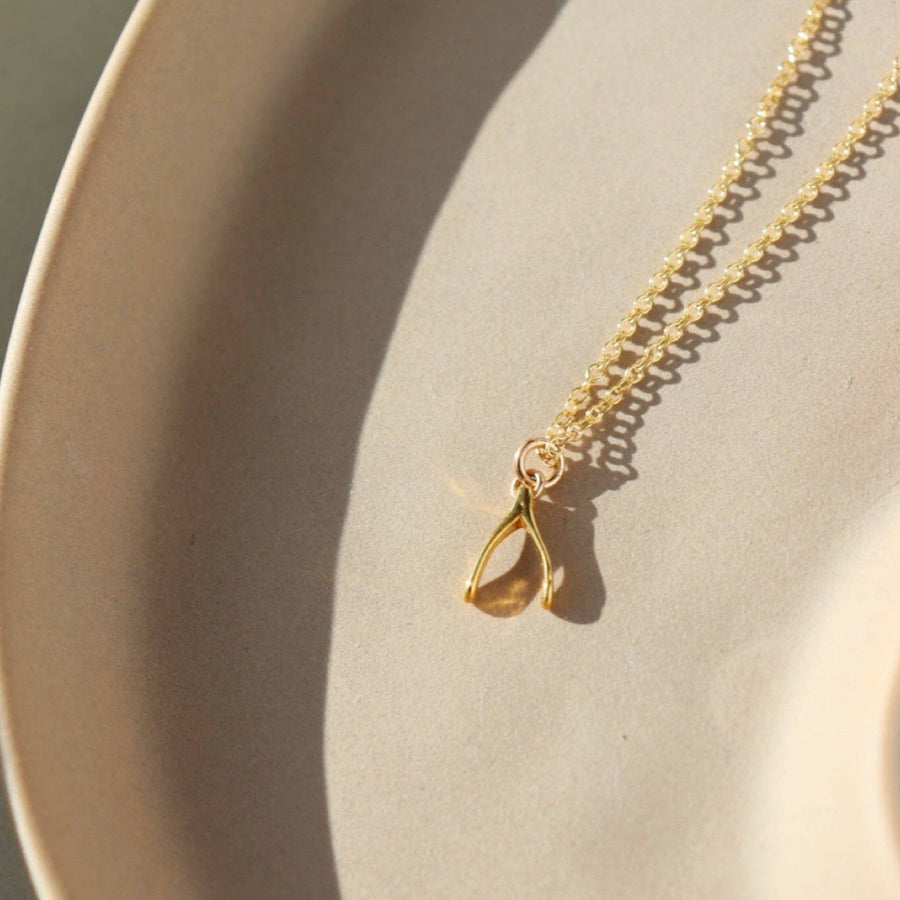 Wishbone Necklace - Echo Market