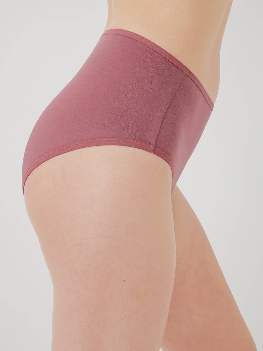 Women’s High Cut Brief - Echo Market