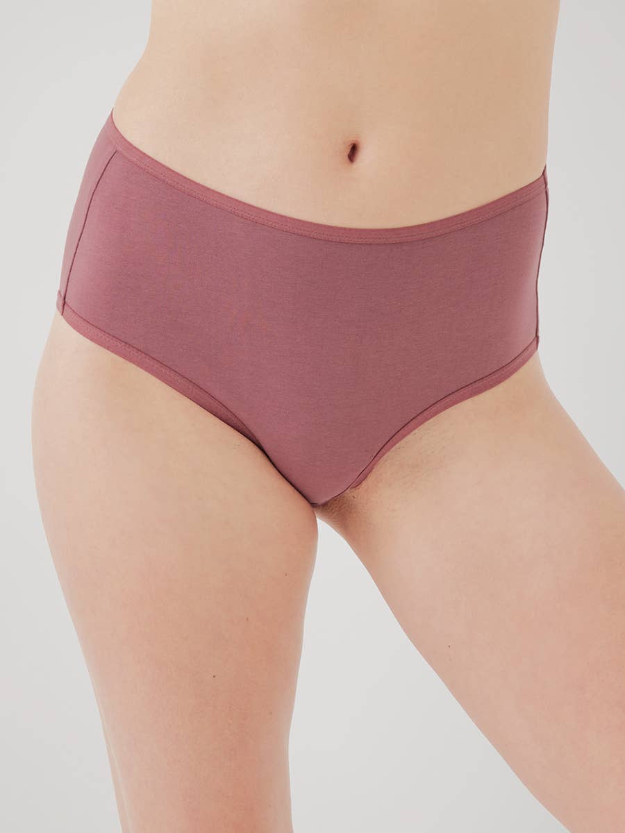 Women’s High Cut Brief - Echo Market