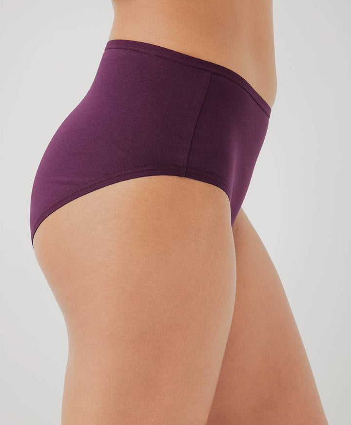 Women’s High Cut Brief: Winter Bloom / 2X-Large - Echo Market